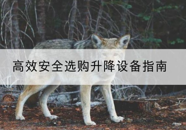 梁山升降货梯厂家推荐-*安全选购升降设备指南