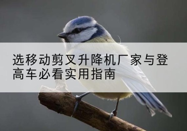 梁山电动升降机厂家-选移动剪叉升降机厂家与登高车必看实用指南