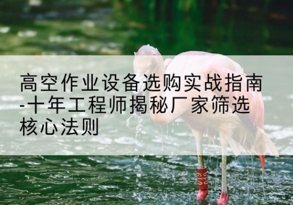 梁山剪叉式升降机厂家-高空作业设备选购实战指南-十年工程师揭秘厂家筛选核心法则